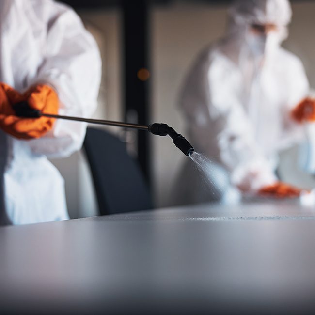 Materia prima y mano de obra